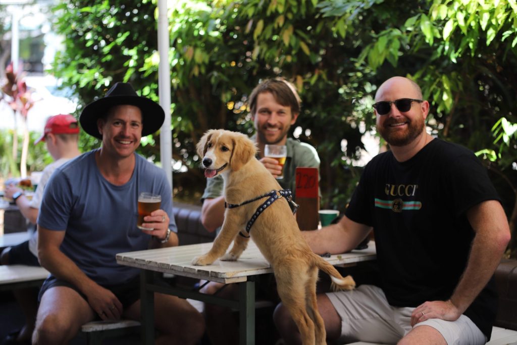 Bars March: Aussie pubs welcome dogs for charity