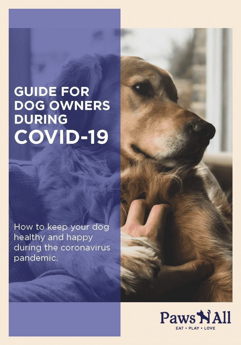 eBook: Can dogs get coronavirus? Guide for dog owners during COVID-19