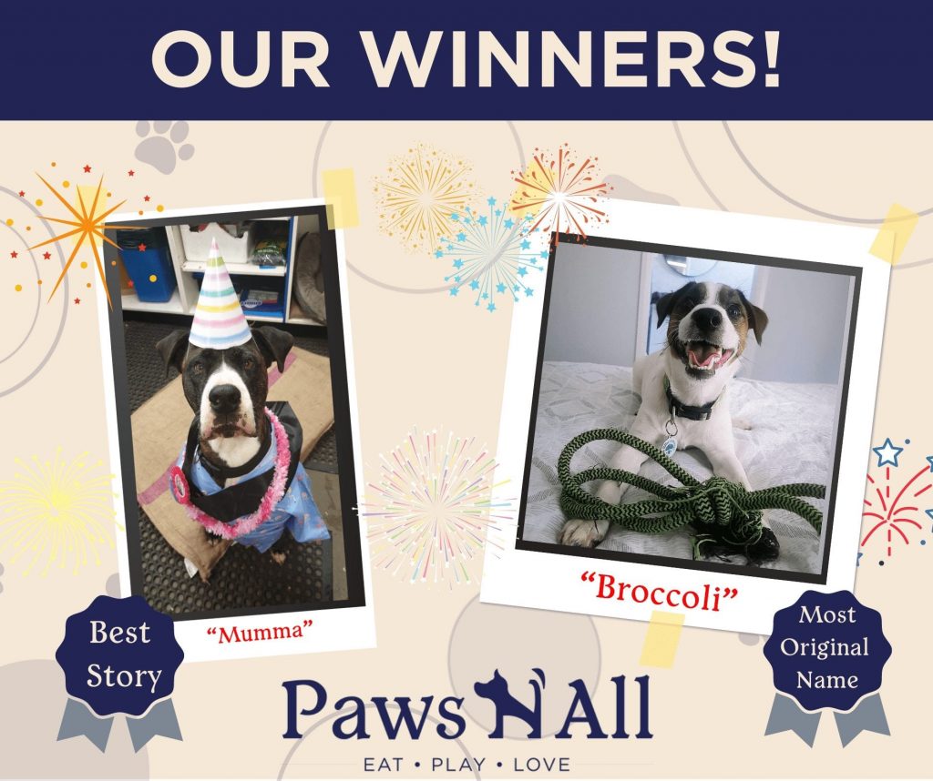 Our dog name competition winners revealed!