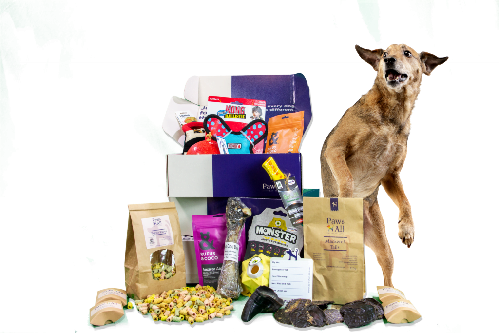 The Smart Dog Subscription Box