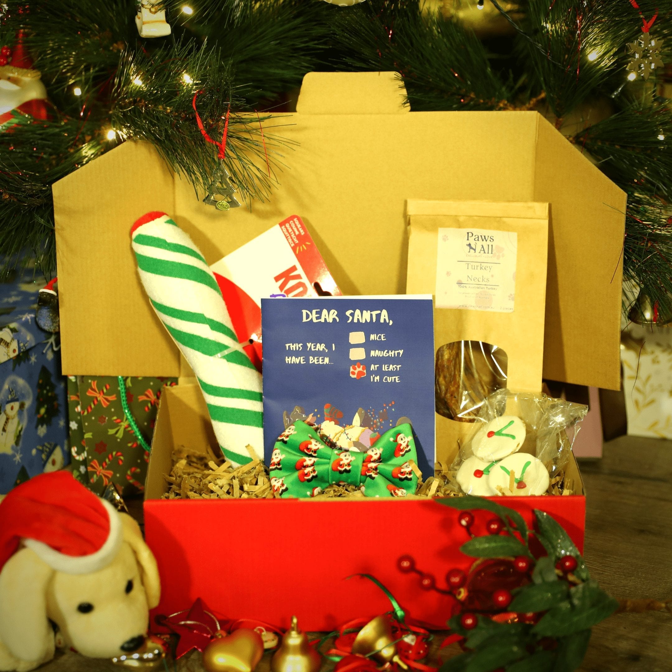 Christmas Gift Boxes for Dogs Paws N