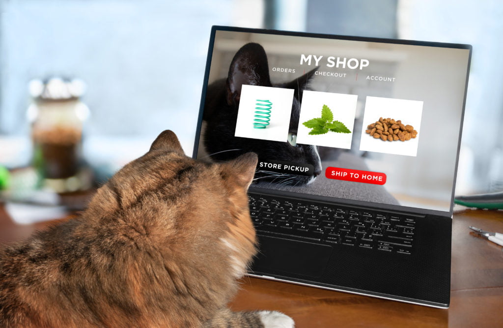 Tips to live more sustainably with pets: only buy what you need so it doesn't go off or sit unused.