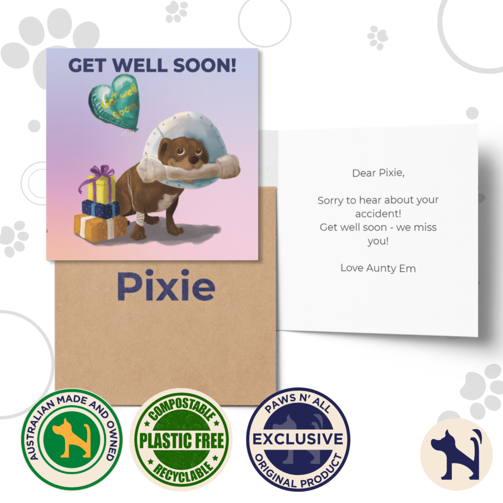 Paws N’ All Australian Made Get Well Soon Card for Dogs
