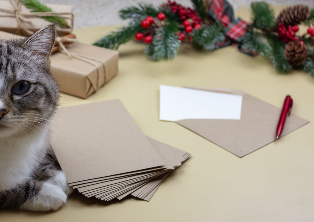 Cat with Christmas cards and parcels