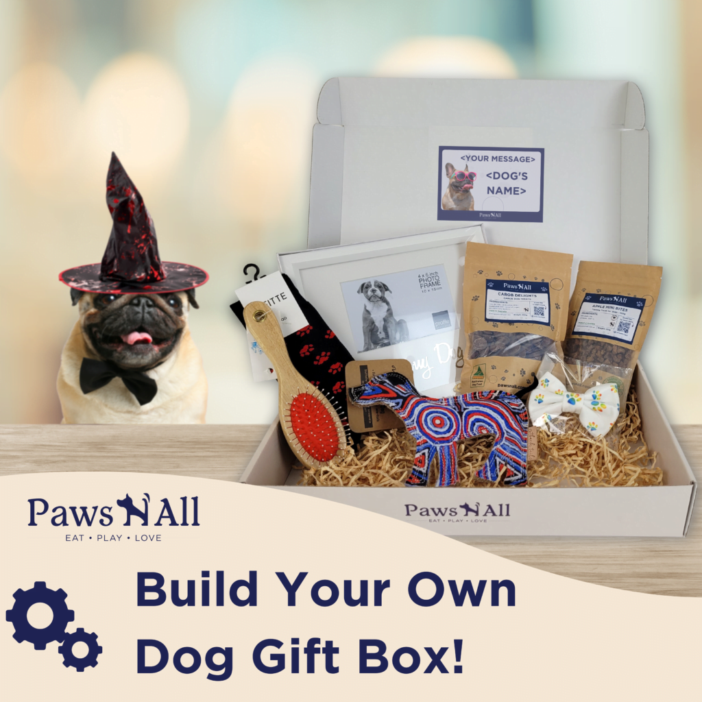 dog gift box