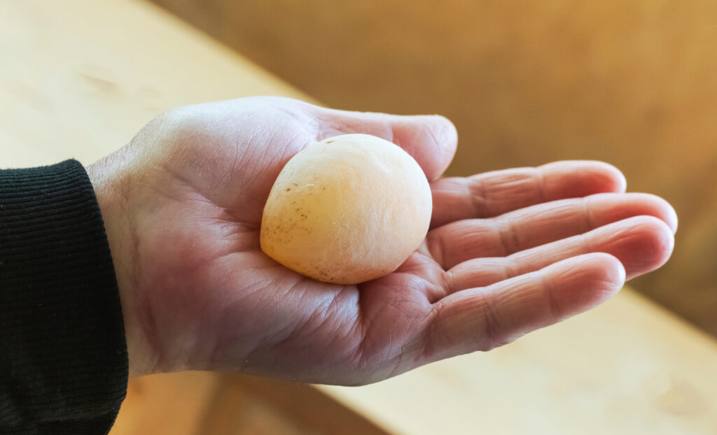 What causes soft shelled eggs and eggs without a shell?