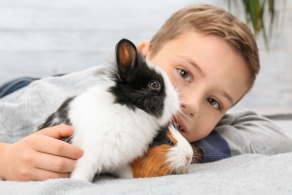 Should you wash your rabbit or guinea pig?