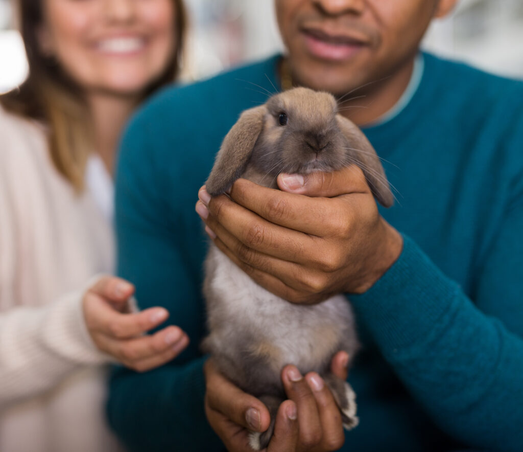 Dating and pets - interracial couple with pet rabbit