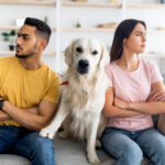 Pet custody disputes are becoming more common as COVID takes its toll on relationships.