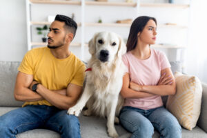 Pet custody disputes are becoming more common as COVID takes its toll on relationships.