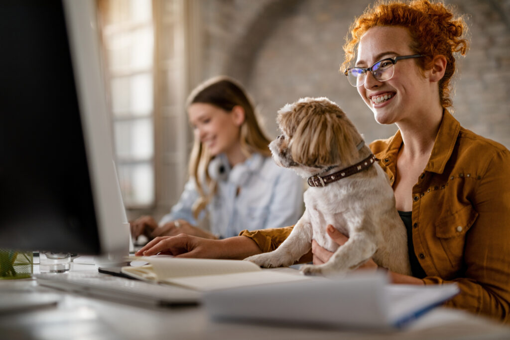 Pet-friendly workplace - tips for taking your pet to work