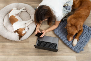 Woman on her phone and laptop surrounded by dogs
